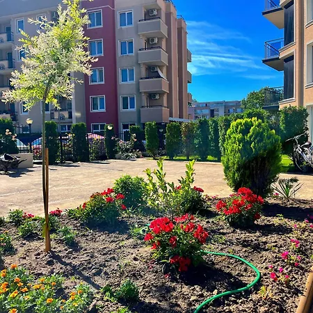 Vip Vision Lux * Napospart