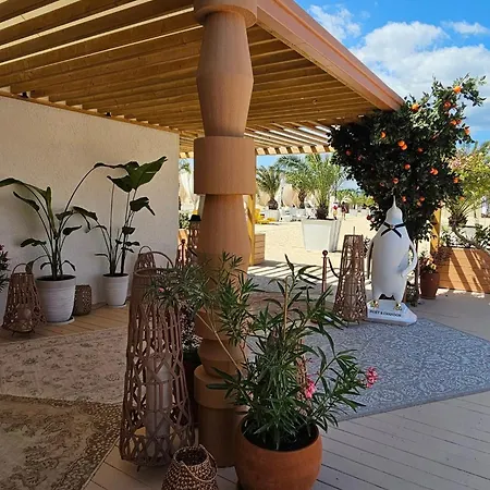 Vip Vision Lux Napospart